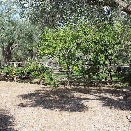 Antico Palmento فندق مبيت وإفطار كامبانيا