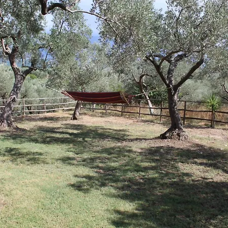 Oda ve Kahvaltı Antico Palmento Campagna