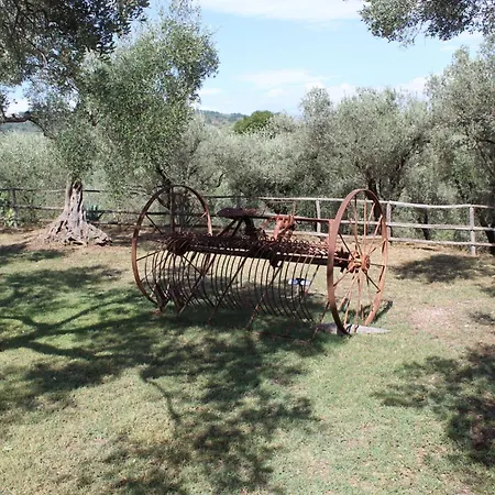 Antico Palmento *