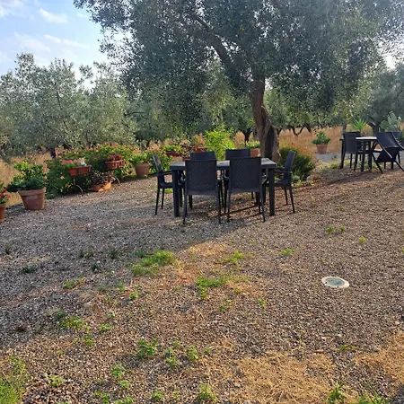 Bed & Breakfast Antico Palmento Campagna